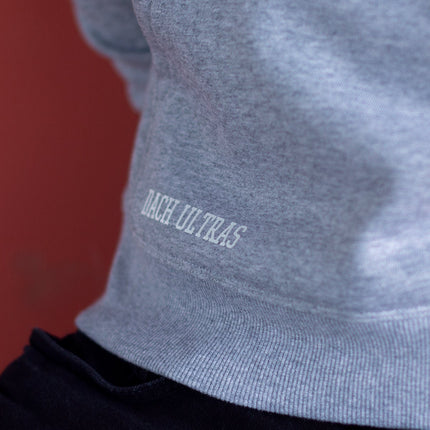 'DACH ULTRAS' FRAME HOODIE GREY